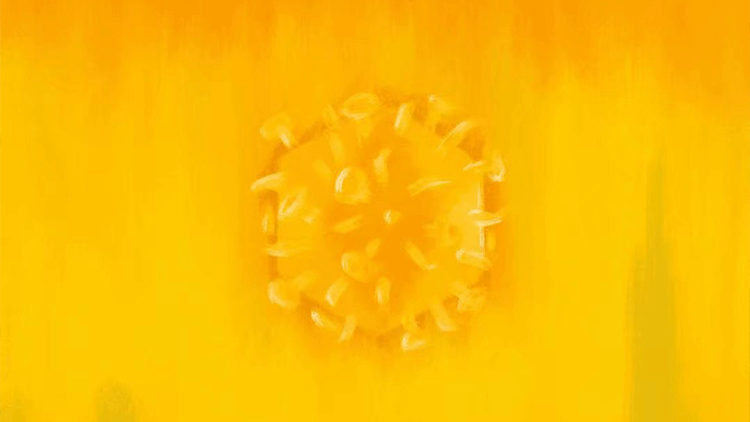 怪诞世界 | 病毒