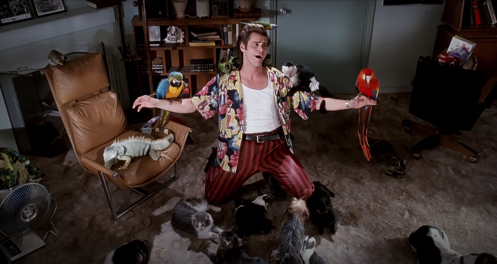 观《神探飞机头》系列有感